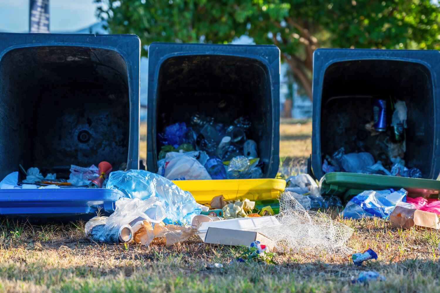 Best Office Junk Removal  in Fremont, NC